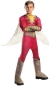 Shazam Dlx Child Lg