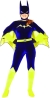 Batgirl Gotham Girls Small