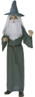 Gandalf Child Large