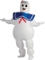 Ghostbuster Inflatable