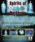 Spirits Of Darkness Digt Decor