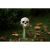 Skull In Hand