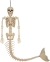 Mermaid Skeleton