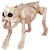 Bones The Dog