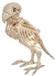 Skeleton Parrot