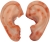 Ear Set 2 Piece