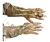 Pumpkin Rot Latex Hands