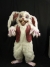 Peter Rottentail 1 Box=1