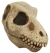 T-Rex Skull Mask