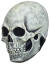 Skull Glow Mask