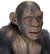 Blake Ape Ad Latex Mask