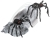 Jumping Spider Black
