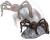 Jumping Spider Brown