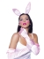 Bunny Kit Pk Gloves Ears Tail