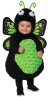 Girl's Butterfly Toddler Costume - Green Toddler (2 - 4T)