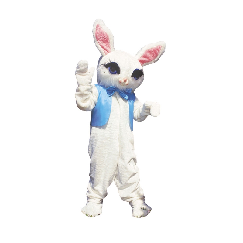 Rabbit Mascot As Pictured