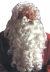 Santa Wig And Beard Dlx