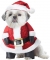 Santa Paws Dog Lg