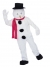 Snowman Mascot Complete
