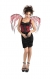 Wings Red Lace Black Corset
