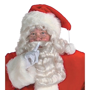 Professional Santa Hat