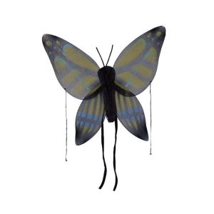 Wings Child Buttrfly Yw Grn