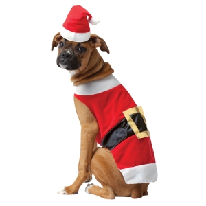 Pet Costume Santa