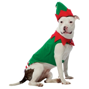 Pet Costume Elf Lg