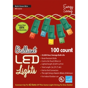 Holiday Lights 100L M5 Mu