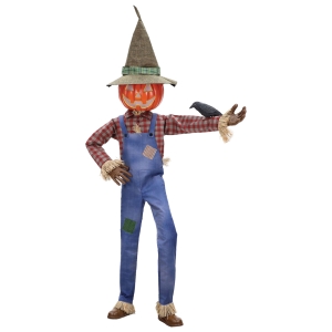 Animated Whimsical Scarecrow