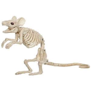 Mouse Standing Skeleton
