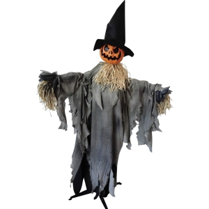 Pumpkin Animated W Hat