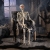 5 Ft. Life Size Posable Skeleton Halloween Decoration