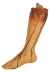 Left Leg Vinyl