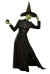 Classic Witch Adult X Large