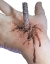 Kit Impaled
