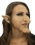 Witch Hazel Kit Nose Chin