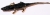 Aligator Swamp Foam Filled 4Ft