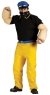 Brutus Costume Adult