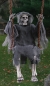 Reaper 36-Inch Swinging Dead