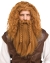 Auburn/viking Wig & Beard