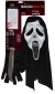 Ghost Face Slayer With Voice Box