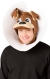 Puppy In Cone