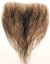 Goatee Hx2 Human Md Chest Brow