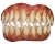 Teeth - Soul Eater
