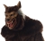 Werewolf Deluxe Mask