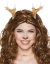 Antlers Fawn
