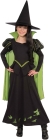 Wizard Oz - Wicked Witch  Lg