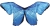 Blue Morph Wings