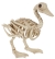 Duck Bonez